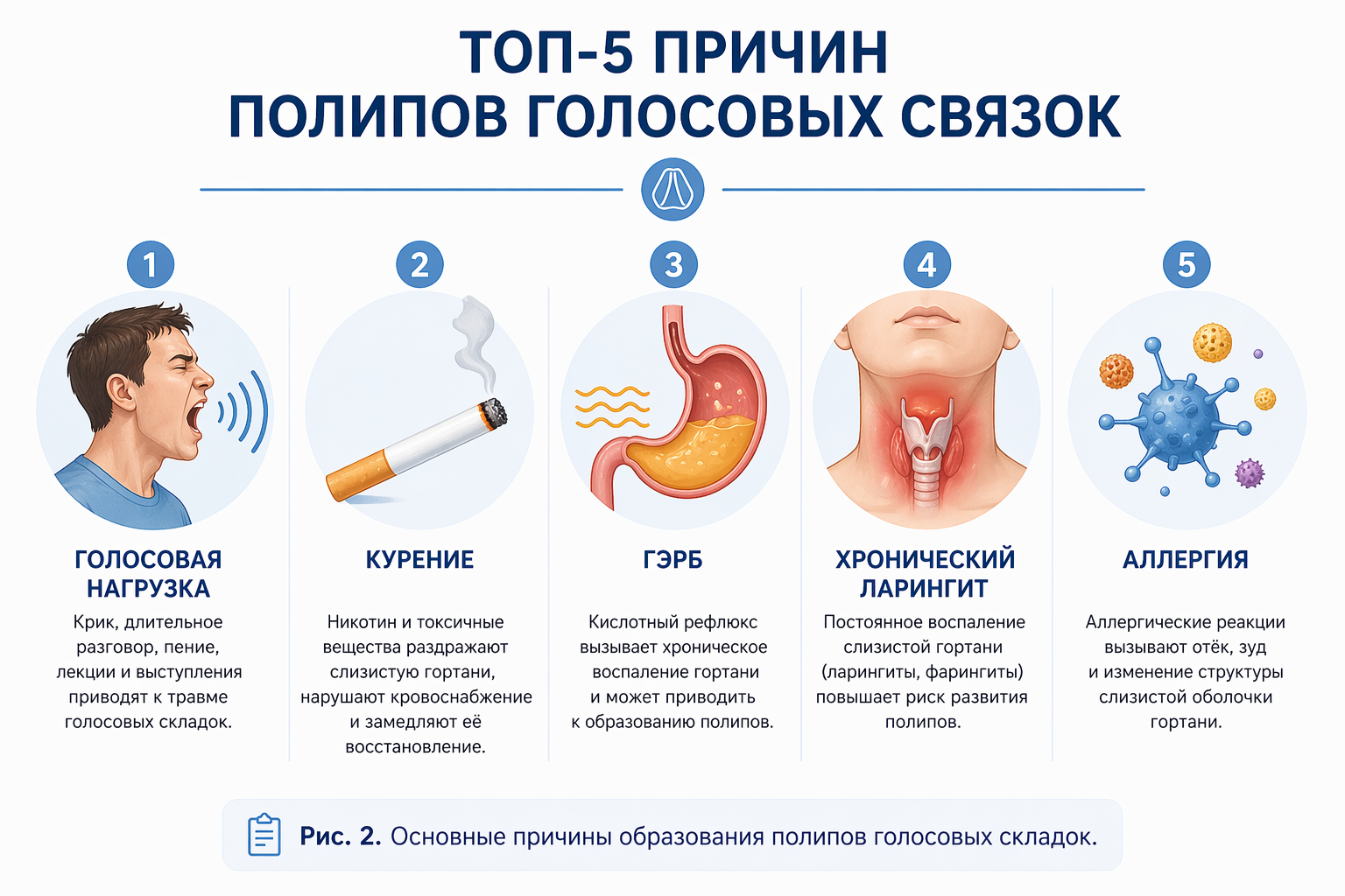 Физиология смены зубов